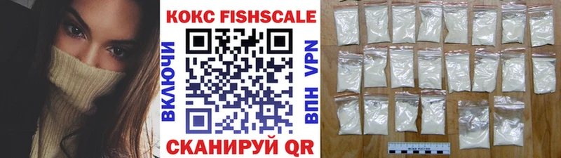 COCAIN Fish Scale  Купить закладки  Новохопёрск 