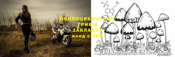 Альфа ПВП Заводоуковск